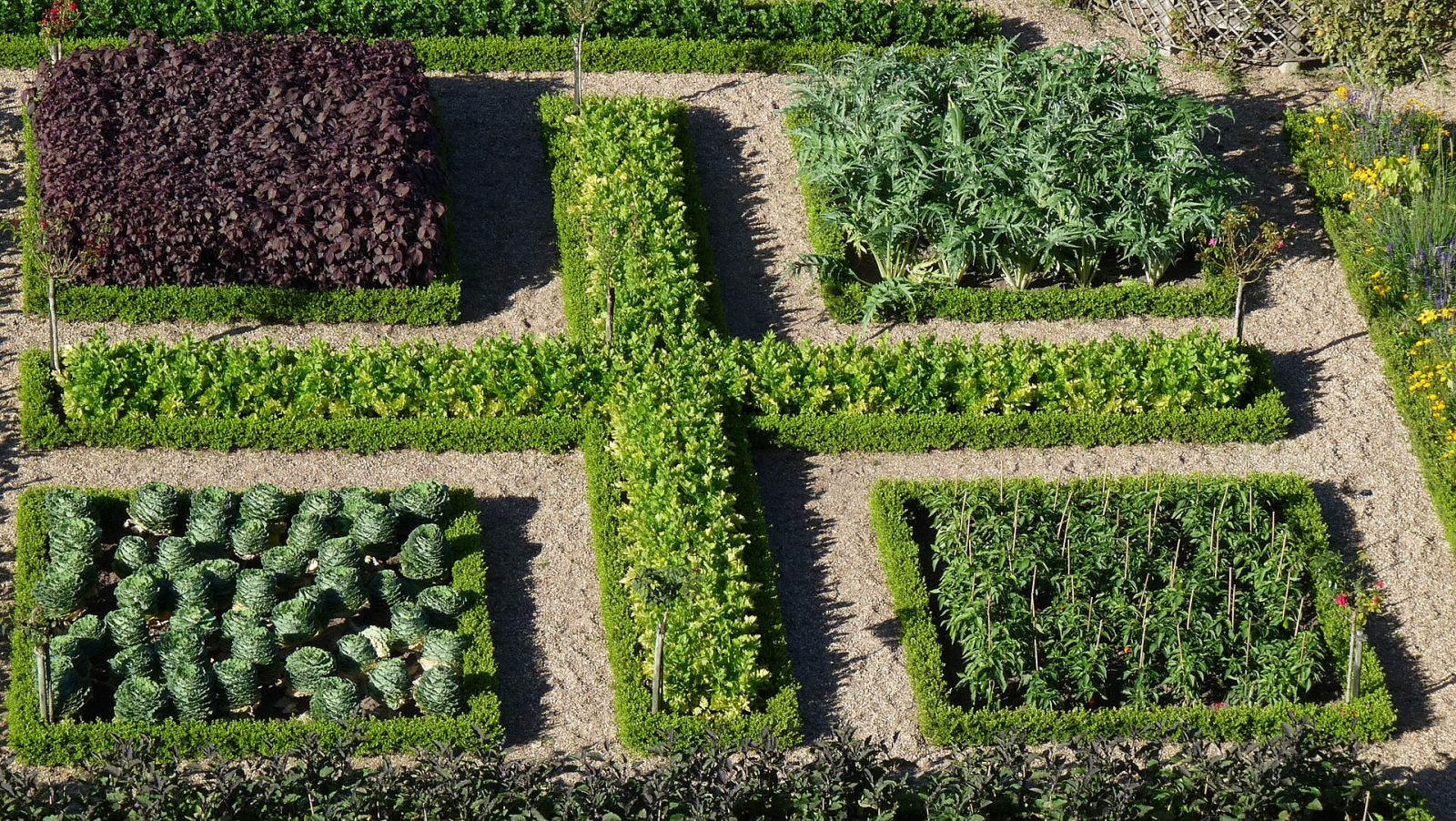 El huerto decorativo de los jardines de Villandry