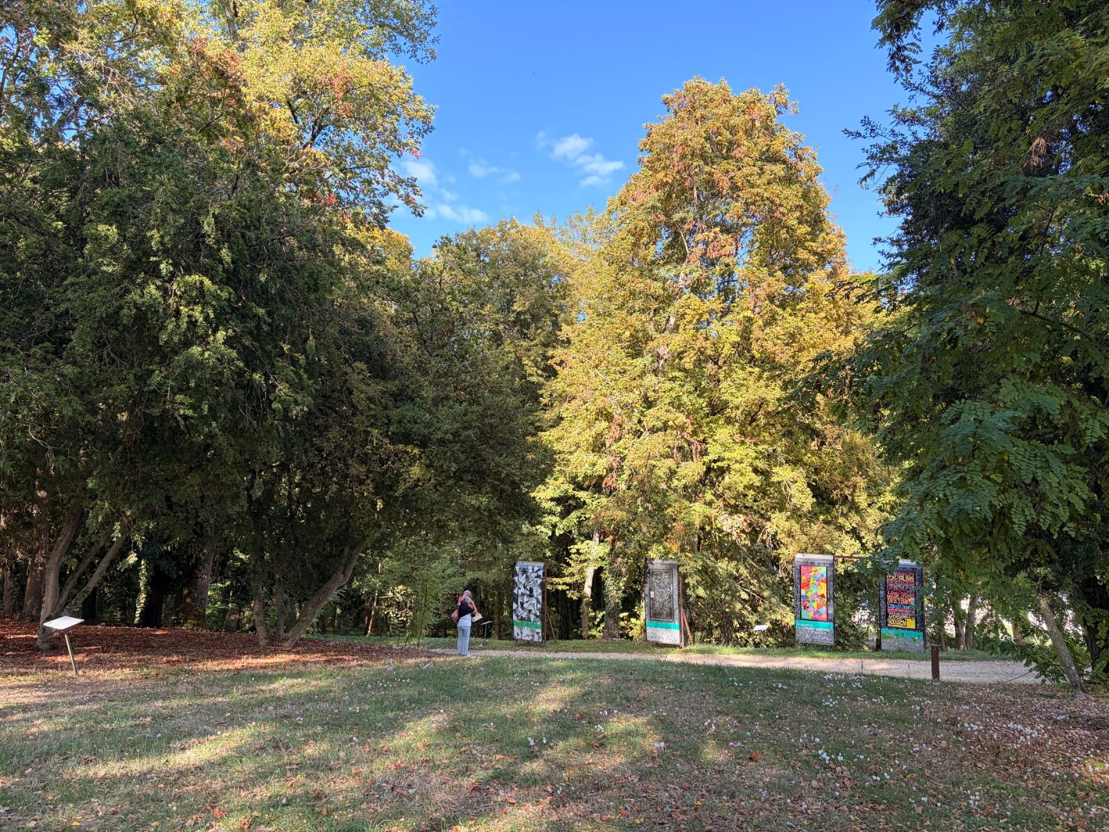 Vue d’ensemble du Street Art Parc, fresques et sculptures sous les arbres